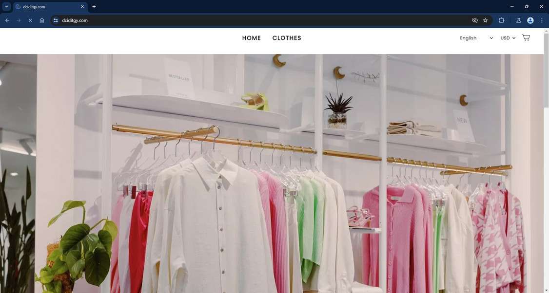 Dciditgy.com Scam Store: What You Need To Know 1 Dciditgy.com scam