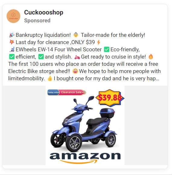 EW 14 Four Wheel Recreational Scooter 1