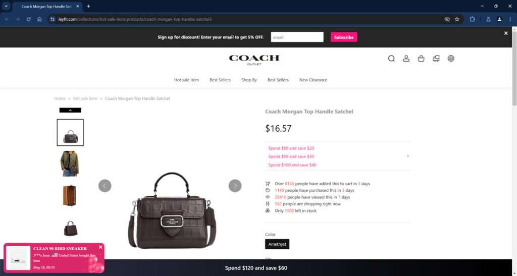 COACH Outlet Scam 3