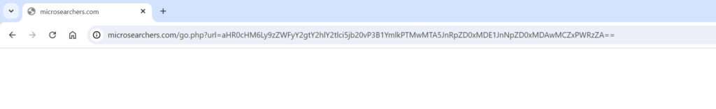 Microsearchers.com redirect