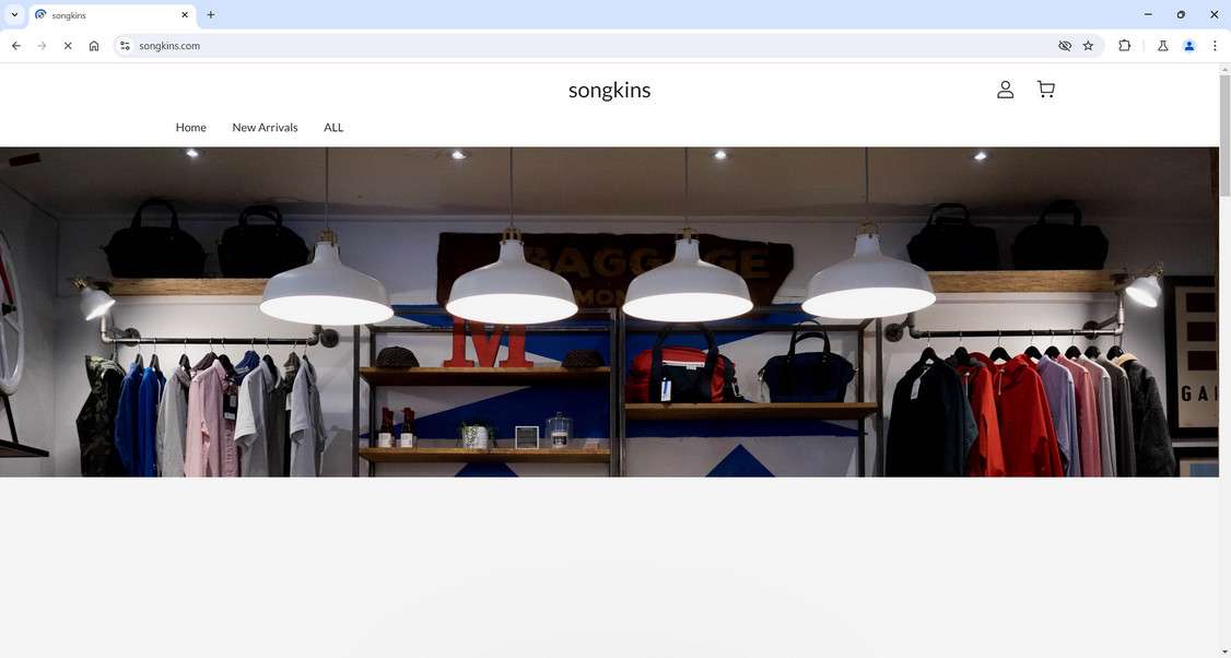 Songkins.com Scam Store - Never Shop Here At All 1 Songkins.com scam