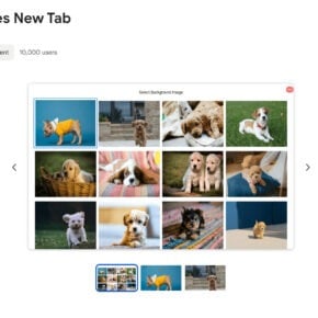 Puppies New Tab browser hijacker