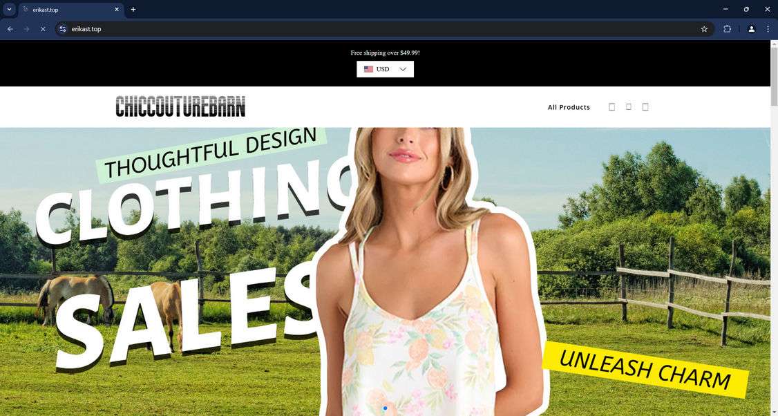 Erikast.top Store Scam Exposed - Read Before Buying 1 Erikast.top scam