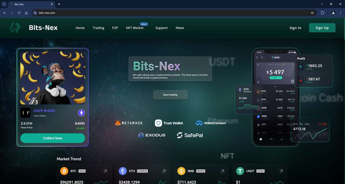 Bits-Nex scam