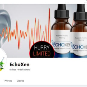 EchoXen