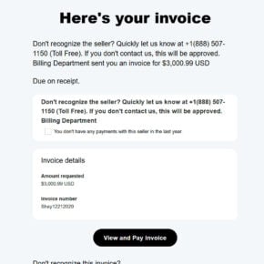 Scam PayPal 2