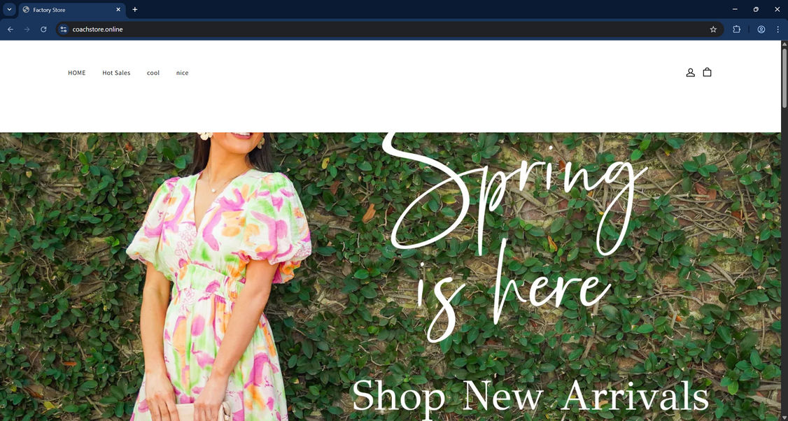 Coachstore.online Scam Store: What You Need To Know 1 Coachstore.online scam