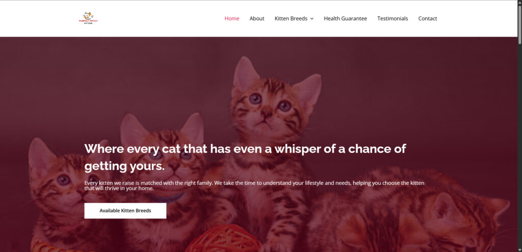Purrfectmatchkittens.com Scam Alert: Everything You Need to Know 1 1 26