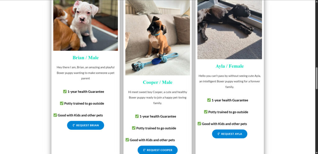 Qualityboxerpupiesforsale.com Scam Alert: What You Must Know to Stay Safe 1 2 4