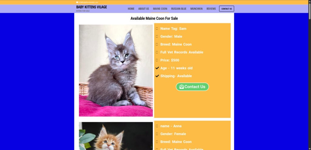 Babykittensbreeders.com Scam Alert: Everything You Need to Know 1 4