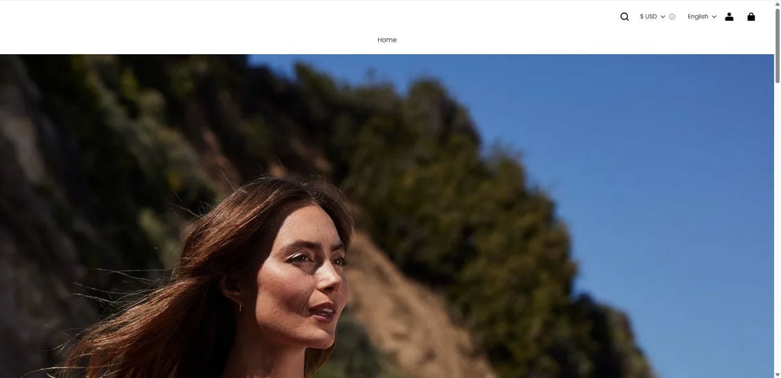 Dicksportinggoods-us.shop scam