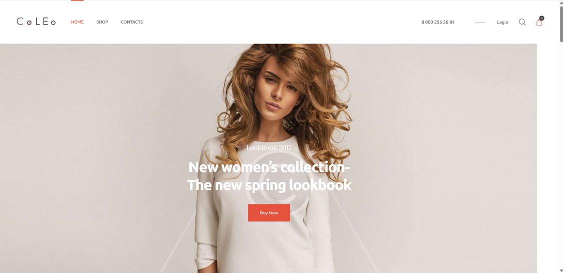 Fashionrapid.art scam