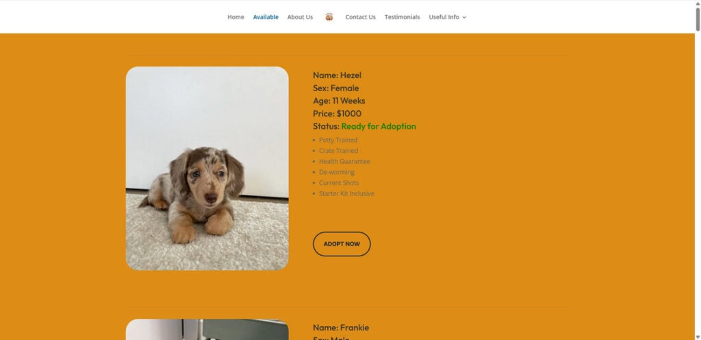 Pupdoxhaven.store PUPPY 1