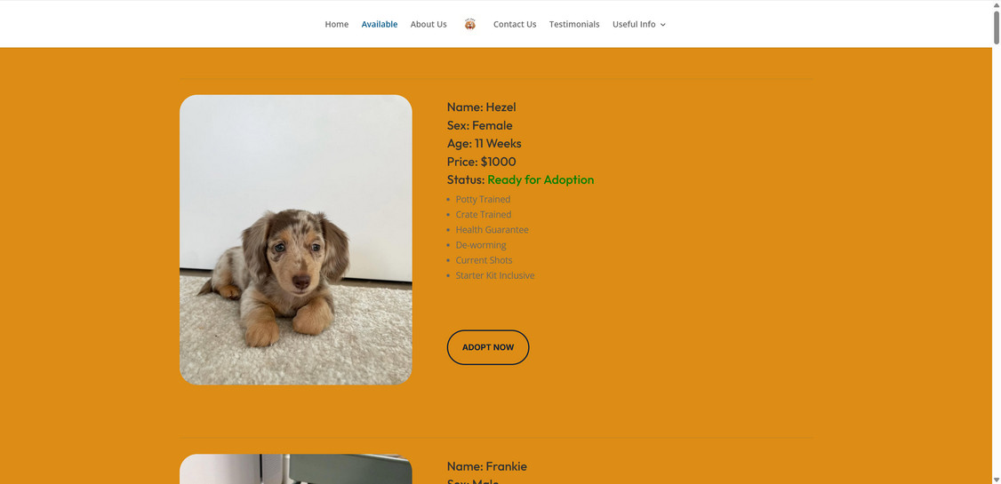 Pupdoxhaven.store PUPPY 1