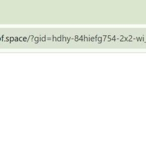 search.e3t13wfp58cy7k09zcfbf.space virus