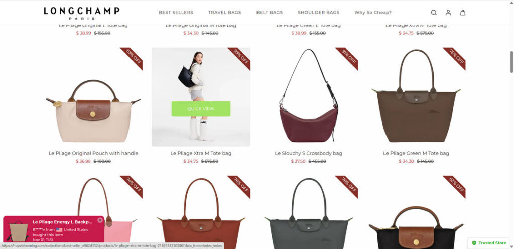 Styledresser.com scam