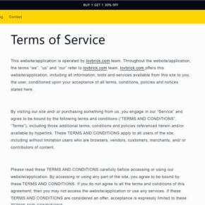 Lovbrick.com scam