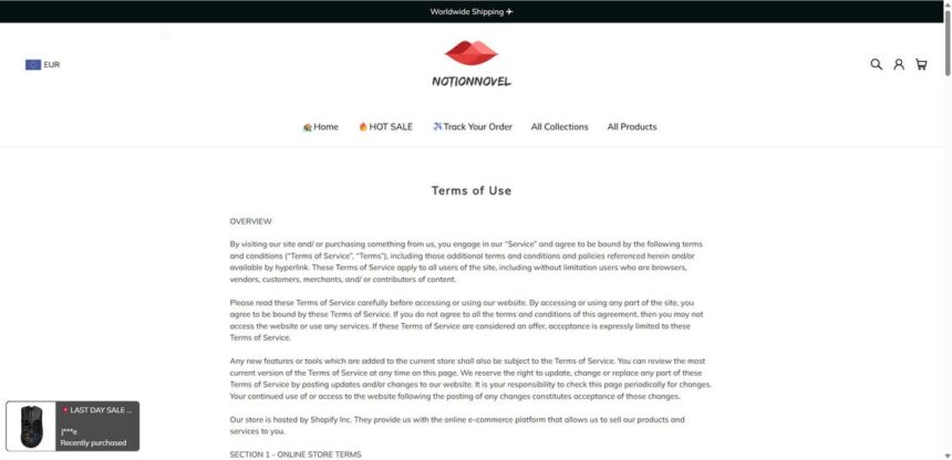 Notionnovel.com scam 2