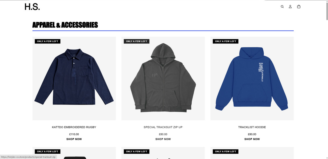Hstyles co.store scam 1