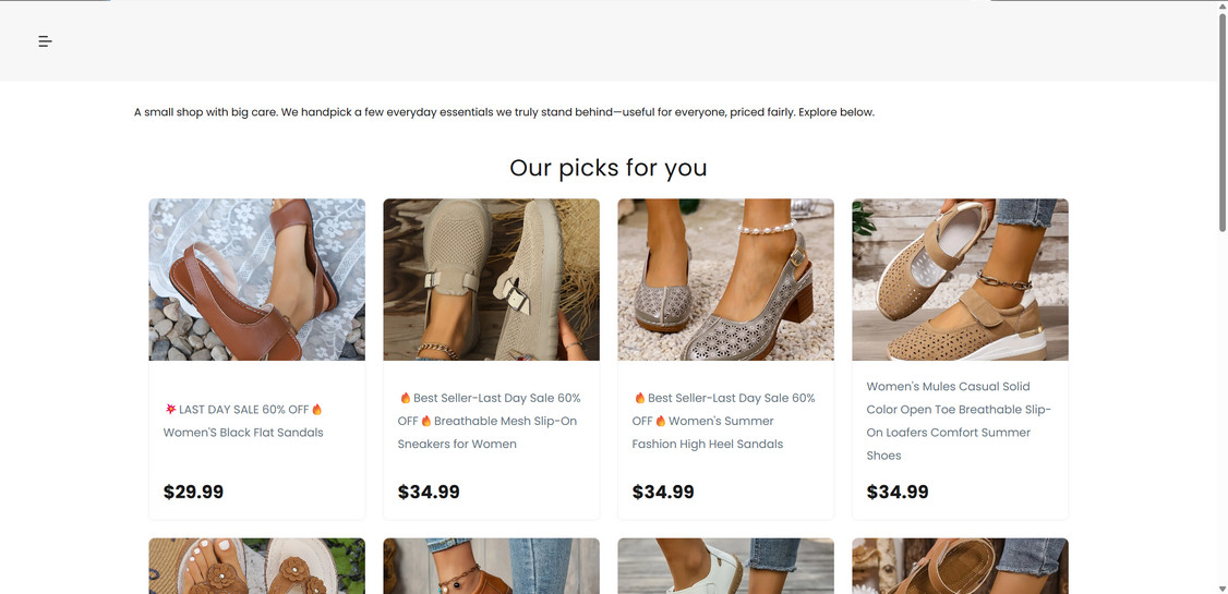 Selinshoe.com scam 1