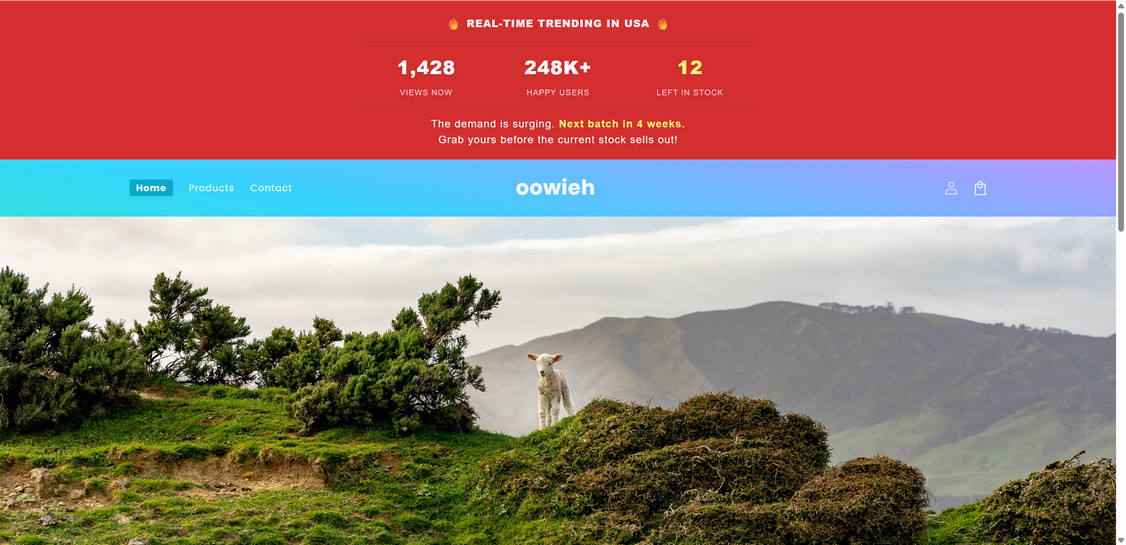 Oowieh.com scam 1