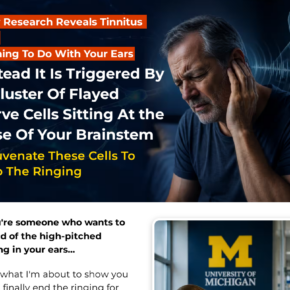 Getmindsilence.com scam