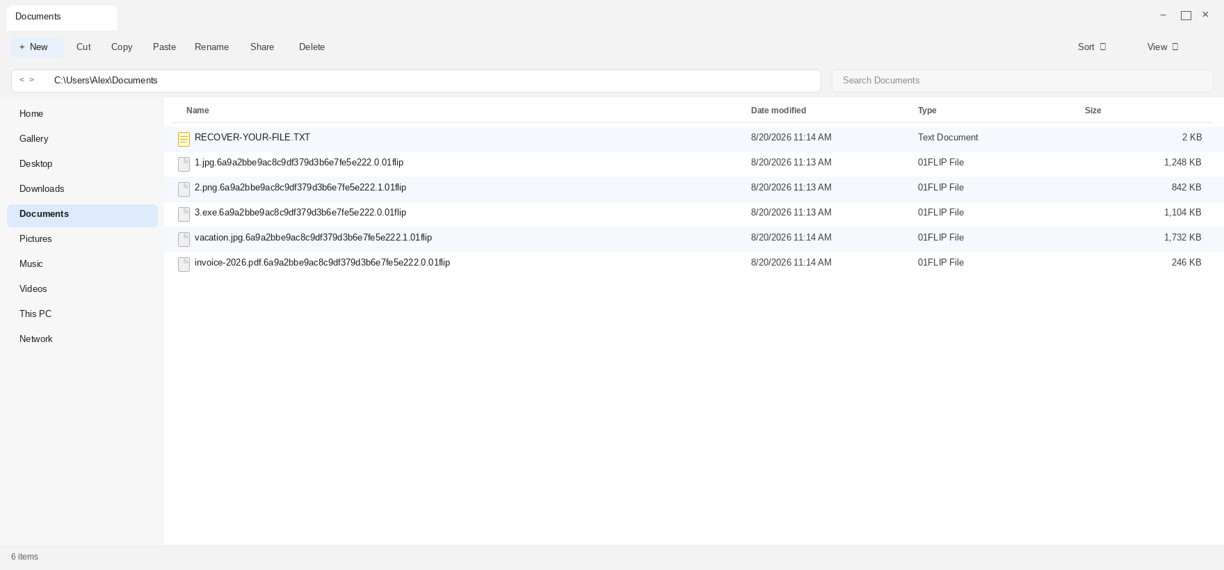 Encrypted files after 01Flip. The .01flip names and RECOVER-YOUR-FILE.TXT are the tell.