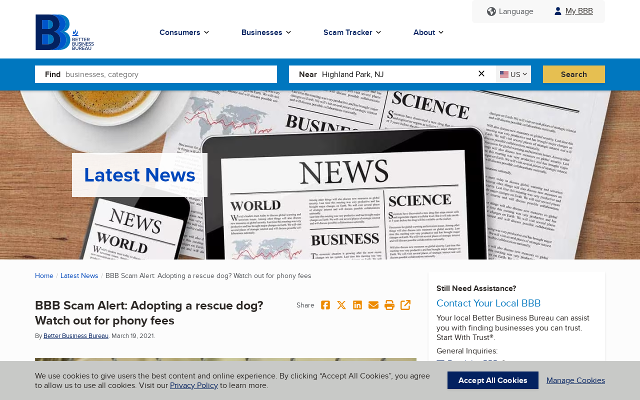 BBB Scam Alert: Adopting a rescue dog? Watch out for phony fees