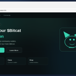 Fake $Bitcat airdrop claim page with Claim $Bitcat and Connect Wallet