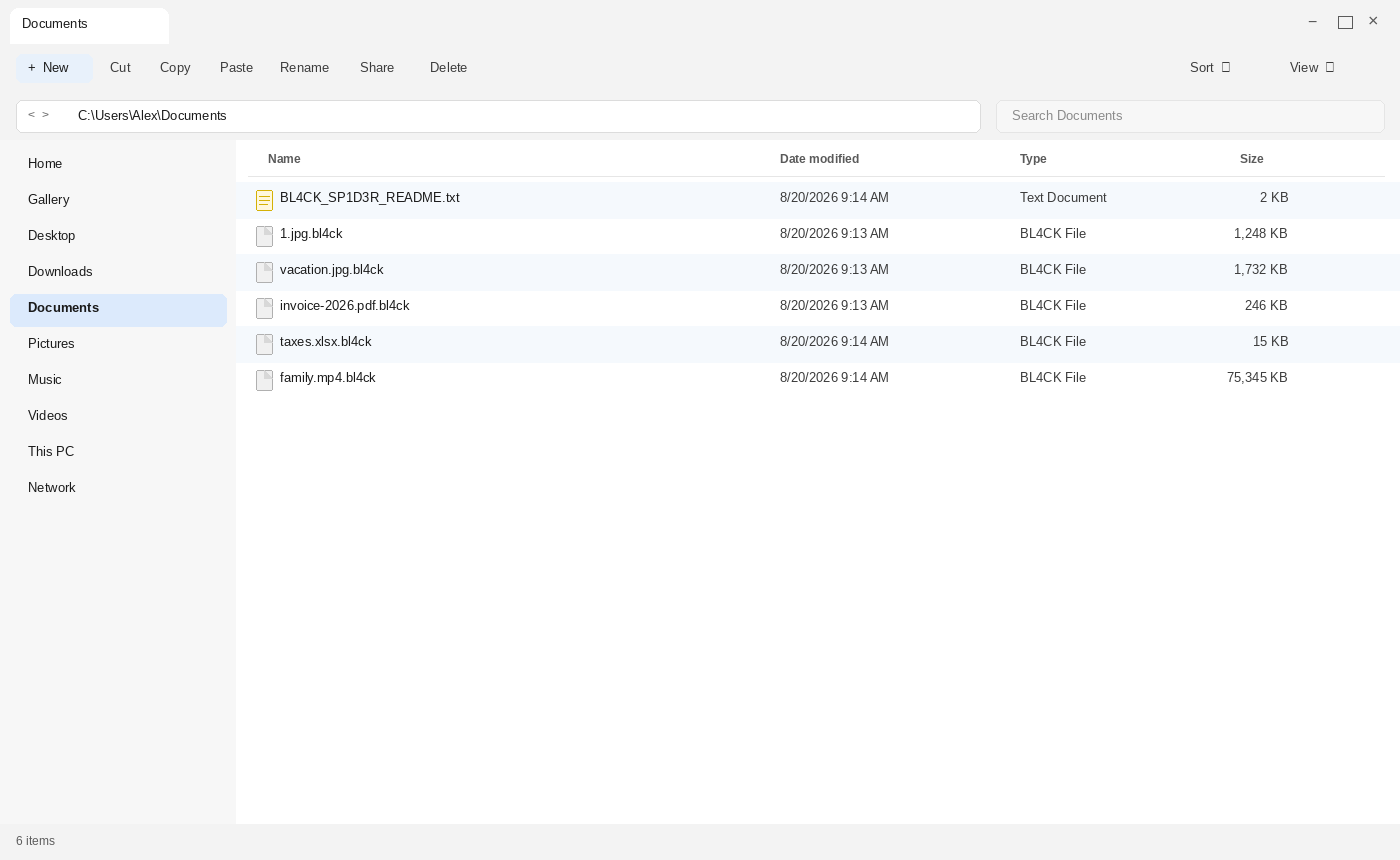 Encrypted files after BL4CK SP1D3R. The .bl4ck names and BL4CK_SP1D3R_README.txt are the tell.