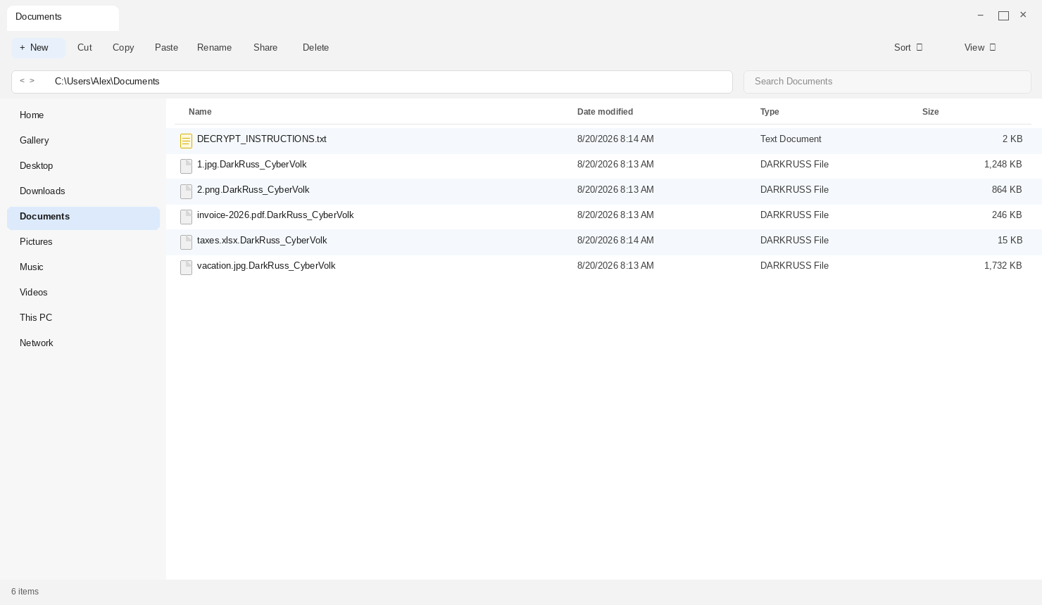 Encrypted files after DarkNetRuss. The .DarkRuss_CyberVolk names and DECRYPT_INSTRUCTIONS.txt are the tell.