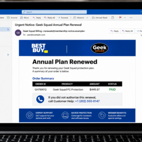 Example of a fake Geek Squad Annual Plan renewal email for $449.87