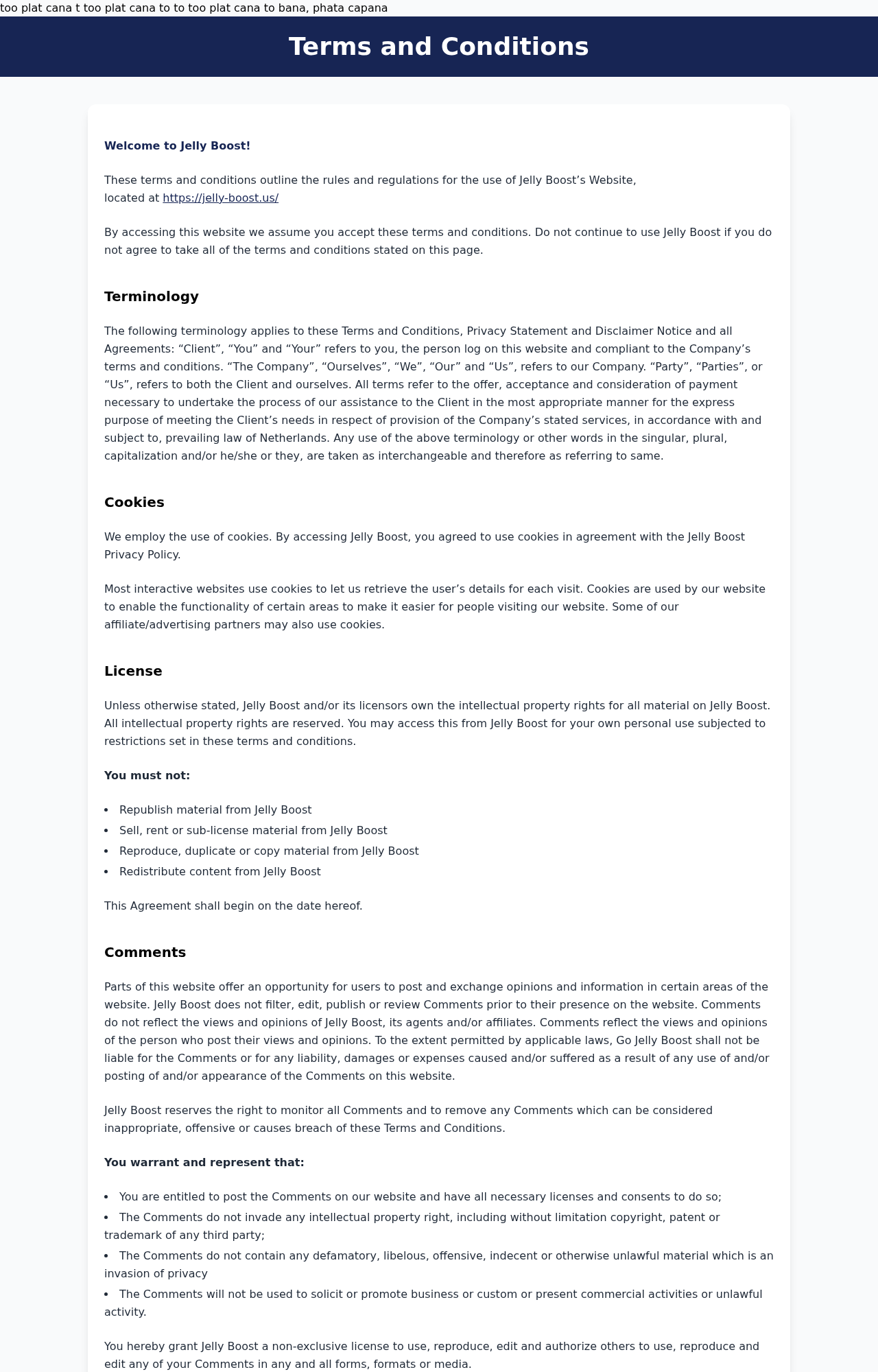 Jelly Boost affiliate terms using generic company language and visible template text