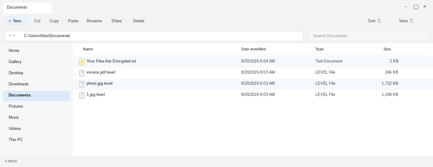 Encrypted files after Level. The .level names and Your Files Are Encrypted.txt are the tell.