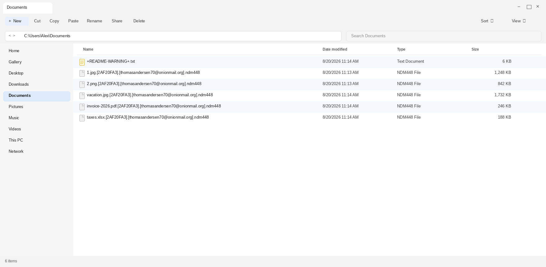 Encrypted files after Ndm448. The .ndm448 names and +README-WARNING+.txt are the tell.