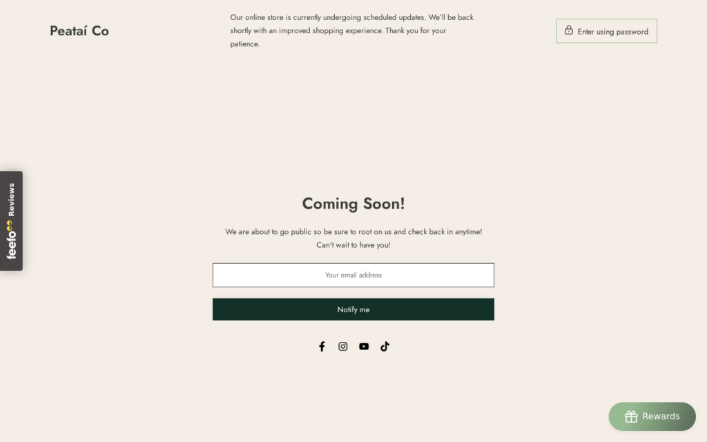 Is Peataico.ie Legit? Store Questions That Matter 1 Peataico.ie scam