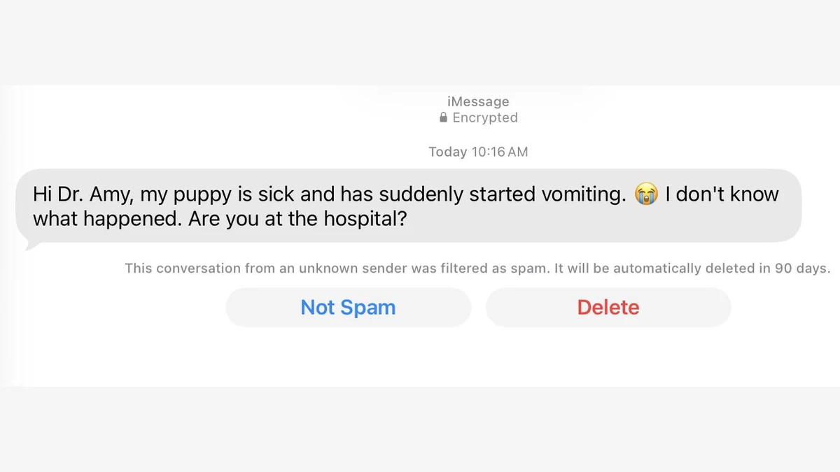 Sick Puppy Text Scam Turns a Wrong Number Into a Money Plea 1 Authentic screenshot of a wrong-number text saying a sick puppy is vomiting and asking for Dr. Amy