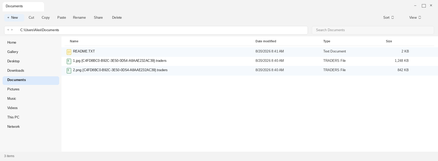 Encrypted files after Traders. The victim ID, .traders names, and README.TXT are the tell.