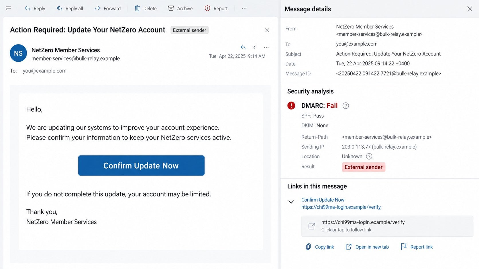 Illustrative NetZero phishing email details with a failed domain check