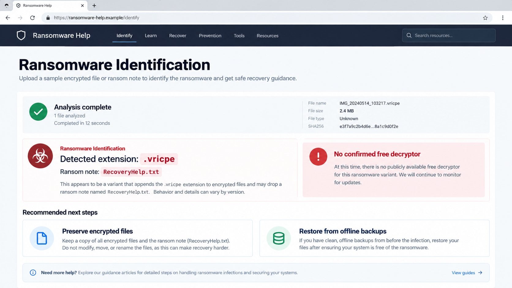 Illustrative ransomware identification result for the Vricpe extension