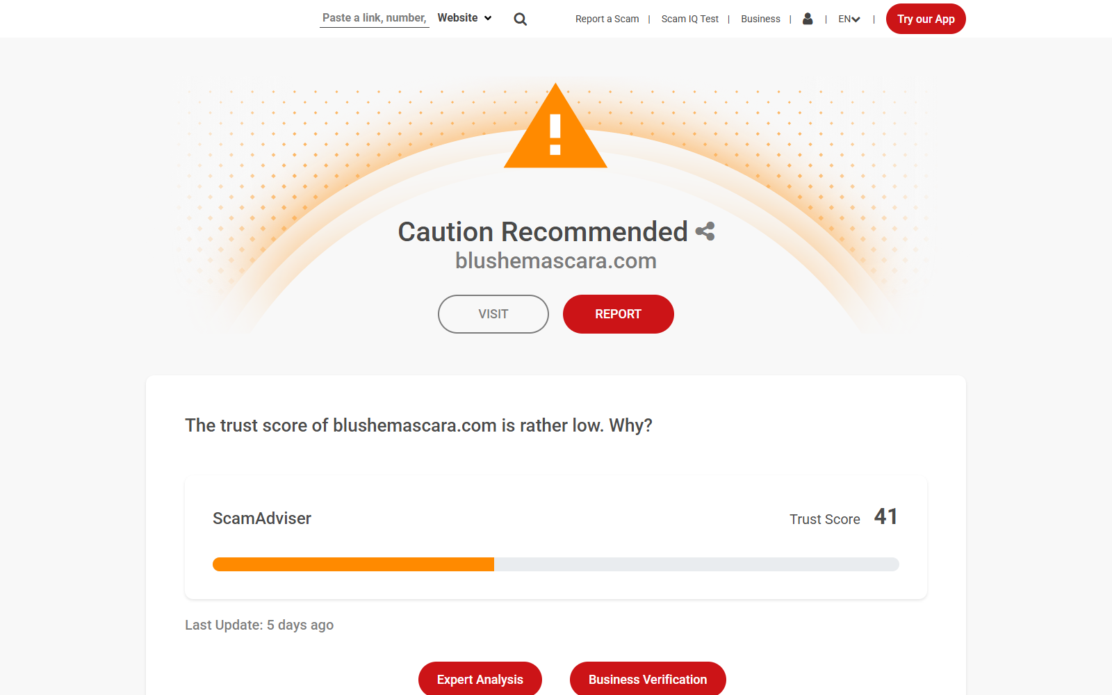 Domain review showing the recent registration and limited history of blushemascara.com