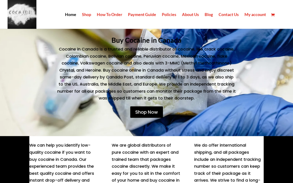 Cocaineincanada.io scam
