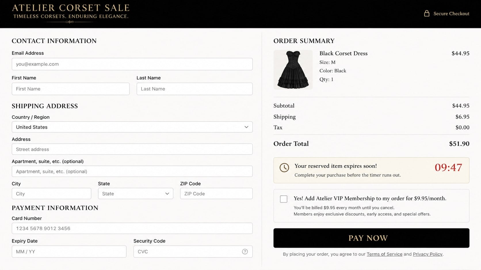 Reconstructed fake corset dress checkout requesting card and shipping information
