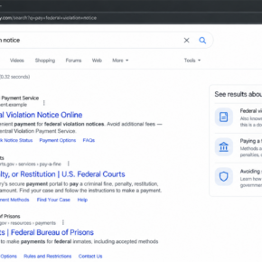 Reconstruction of a fake federal violation payment result appearing above an official result