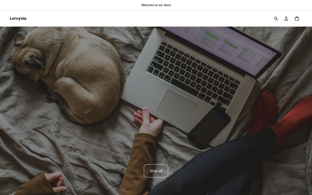 Lorvynia.com EXPOSED - Real Store or Scam? Investigation 1 Lorvynia.com scam