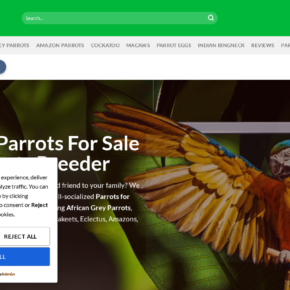 Parrotsforsale.ca scam