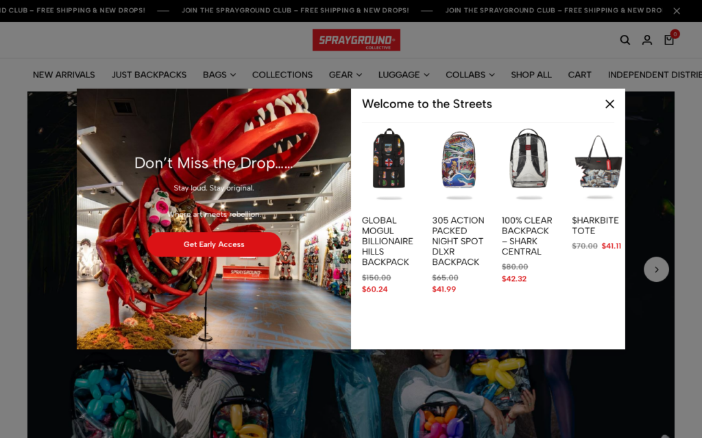 Sprayground.cc scam