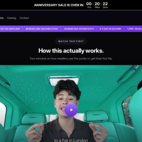 Vintedresells.com scam