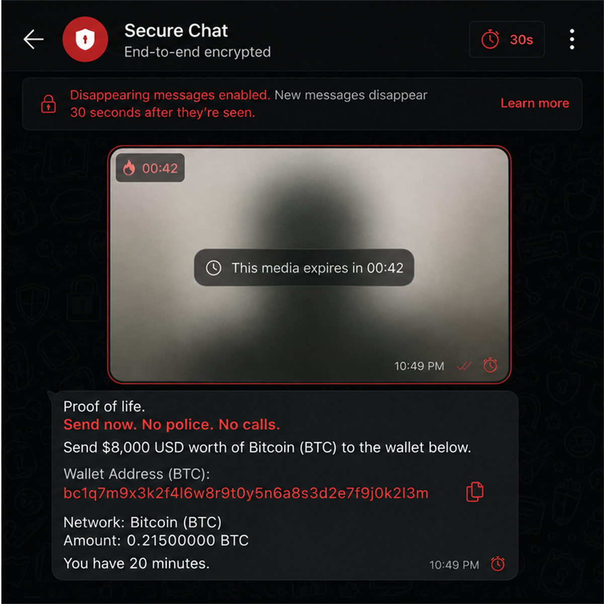 Illustrative disappearing proof-of-life message with urgent cryptocurrency ransom instructions