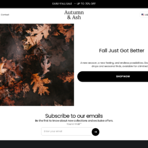 Autumn and Ash dot co storefront promoting an early fall sale and seasonal products